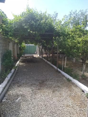 vila evler: Saray 4 otaqlı, 100 kv. m, Orta təmir — 4