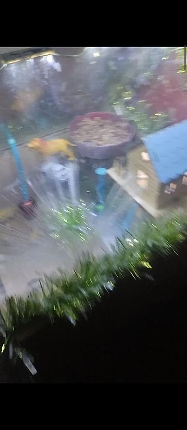 akvarium lampa: Məhsul: Dekorativ işıqlı akvarium/teraryum vitrin-kabinəsi Təsvir: - — 2