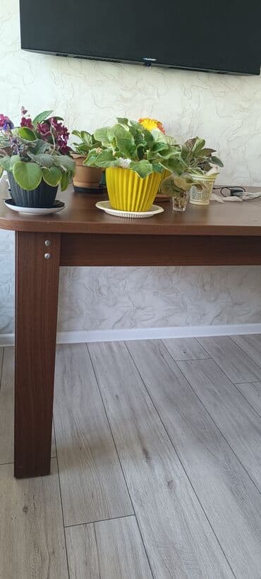 стол и стулья для дачи: Для кухни, Нераскладной, Прямоугольный стол, 2 стула — 2