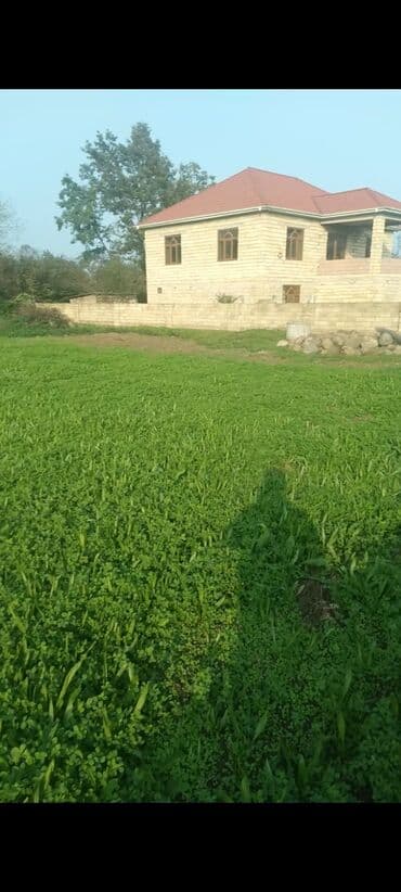 6 sot, Tikinti, Mülkiyyətçi, Kupça (Çıxarış)