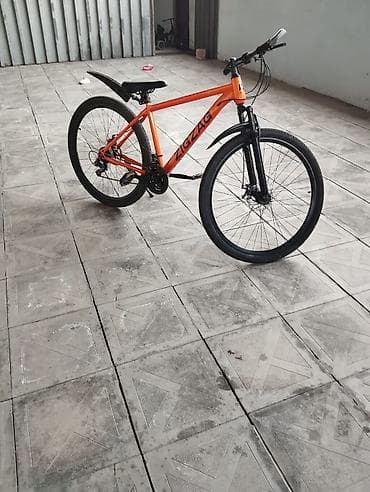 velosiped satishi: Yeni Şəhər velosipedi 29", sürətlərin sayı: 10 — 2