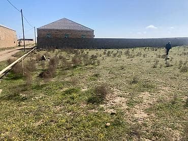 ismayilli torpaq: 14 sot, Kənd təsərrüfatı, Maklerlər narahat etməsin — 5