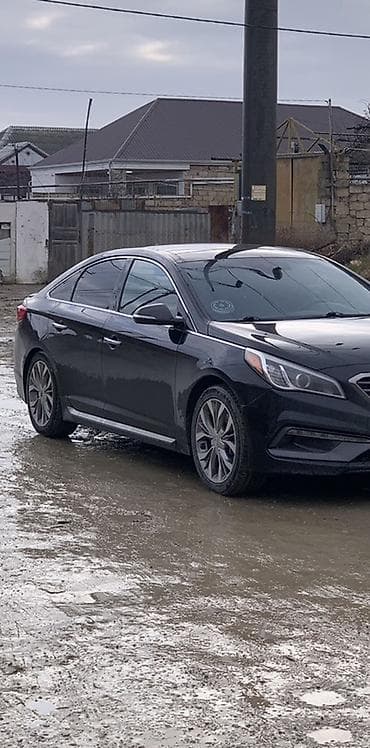 hunday tkson: Hyundai Sonata üçün arxa asqı yayları (2 ədəd) - Model uyğunluğu — 2