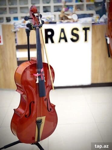 skripkalar: Çello cello violençello Rast Musiqi Alətləri Mağazası Unvanlarimiz; — 1
