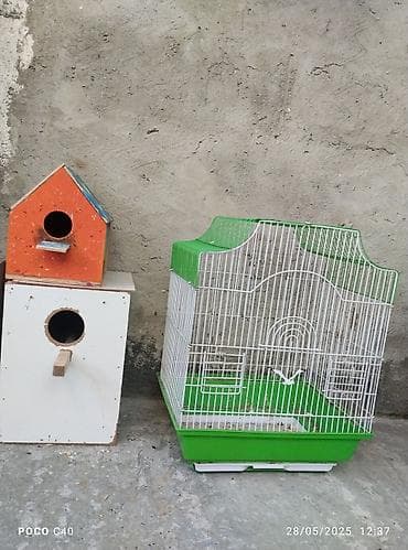 pisik yuvalari: Qefesler 15-20 azn — 3