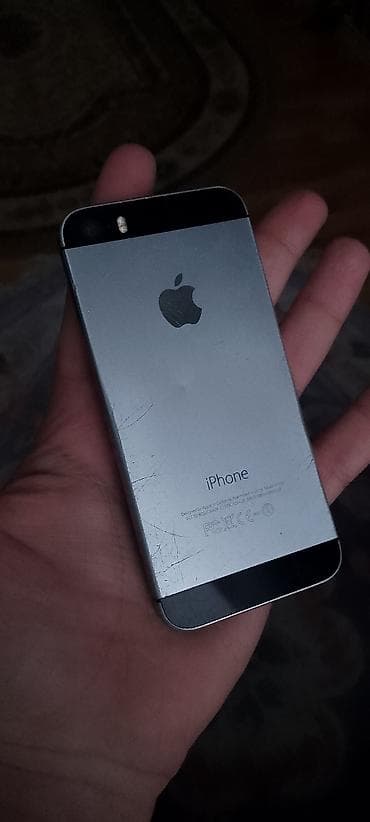 IPhone 5s, Qara, Barmaq izi