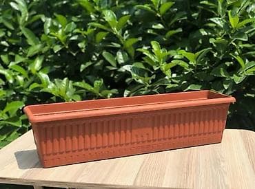 milcek tutan gul: 317-12Azn / 318-16Azn / 319-22Azn — 10