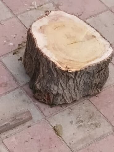 traktor 892 qiymeti: Et doğramaq ucun kotuk real alicilar ucun endirim var basqa kotuklerde — 6