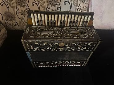 Гармошки: Гармонь, Акустический — 3