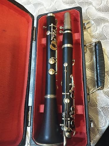 купить синтезатор бу: A klarnet fritz qanburq və hüller əla vəziyətdə ağac kökü iynə kimi — 8