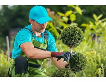 gencede surucu is elanlari 2023: Bağban, 64 il, 5 ildən artıq təcrübə — 1