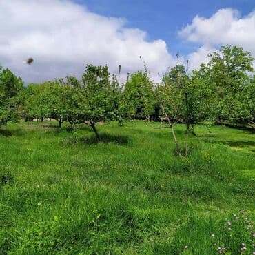 hokmeli.heyet.evleri.tap az: 90 kv. m, 4 otaqlı, Qaz, İşıq, Su — 4