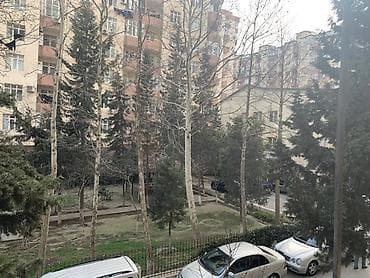 gencede ev: Mənzil bütün əşyalar ilə təmin olunub, evdə kombi, 2 ədəd kondisioner — 10