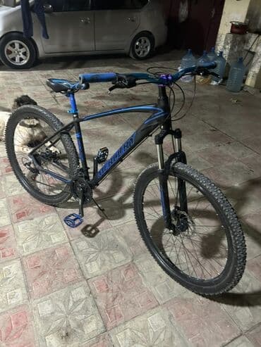 электронный велик: Горный велосипед Mercury, 29" — 1