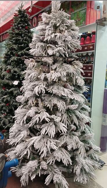 novruz xoncasi wekilleri: 1 — 1