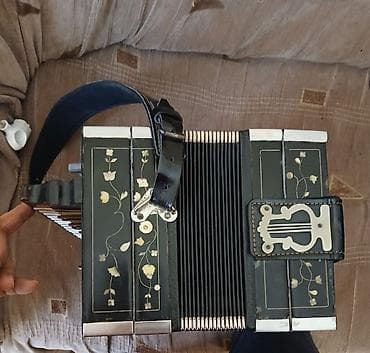 akardion: Akustik Akkordeon — 1