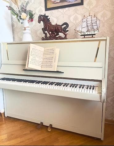 ronisch piano: Pianino Tecili satilir Qiyməti: 440 azn Musiqi dərslikləri hədiyyə — 1