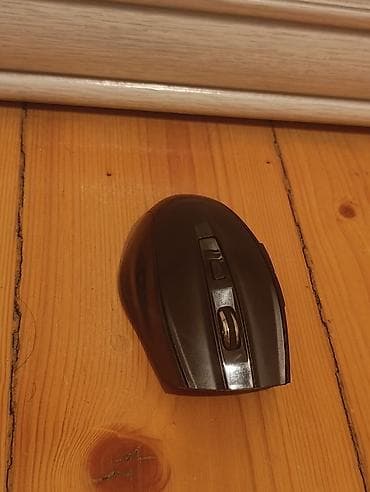 Siçan Ama 1ay ışlənib