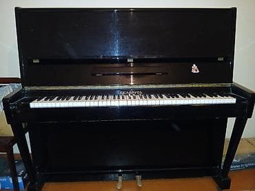 Piano, Belarus, Akustik, İşlənmiş, Ünvandan götürmə — 3