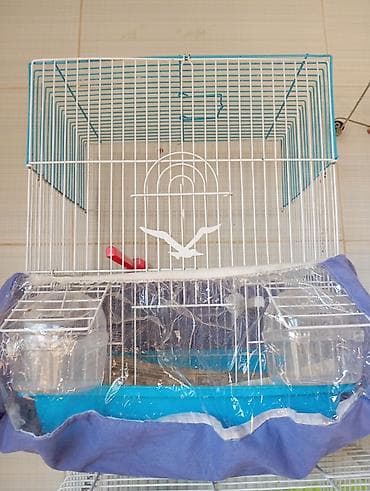 quş üçün qəfəs: Quş qəfəsi – aksessuarlarla - Material: möhkəm metal barmaqlıqlar — 3