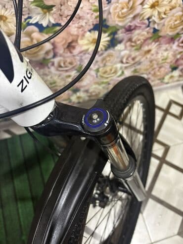 irshad telecom velosiped: Yeni Dağ velosipedi 29", sürətlərin sayı: 21, Pulsuz çatdırılma — 10