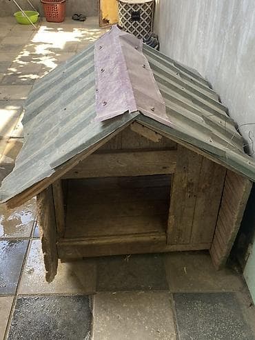 Yuvalar: Taxta it evi - Material: tamamilə taxtadan yığma karkas, üstü dalğalı — 1