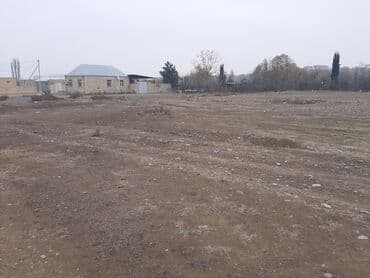 asif məhərrəmov küçəsi: 3 sot, Mülkiyyətçi, Kupça (Çıxarış) — 1