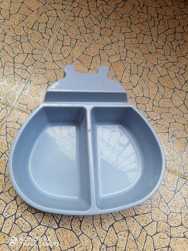 Heyvan üçün yemək və su qabı