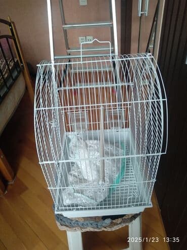 переноска для кошек баку: Quşlar üçün qəfəs — 2