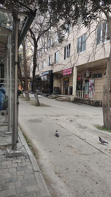 kiraye evler: Bakixanov qes semedbey mehmandarov 8 . 6 mertebeli binanin 6 ci — 2