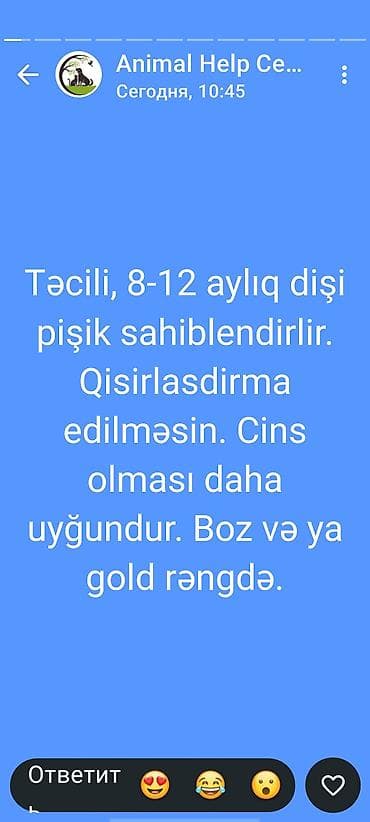 Van, Erkək, Cütləşmə üçün