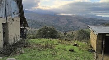 2 mərtəbəli ev layihələri: Evin həyəti 39 sot. 1 Hektar da əkin ve mal qara oturmaq uçun var — 4