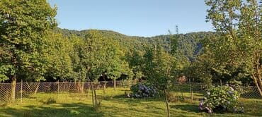 аренда квартир в баку за 200 манат: Salam zaqatala car kendindedi ev internet qaz su her weyi var yolun — 6