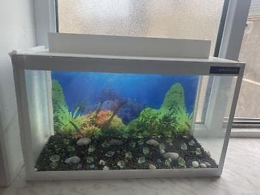 akvarium 90x40x50: Dördbucaq akvarium, Boş, 20 l, Ünvandan götürmə — 2