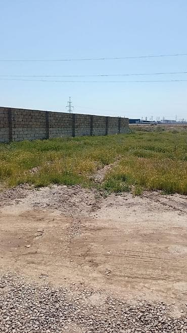 basavik satisi: 6 sot, Kupça (Çıxarış) — 2