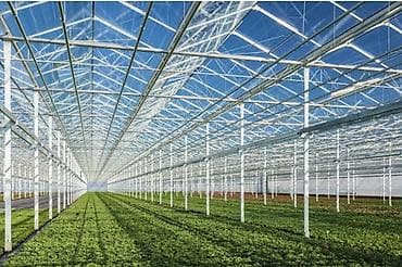 Parnik illik icarəyə verilir Çox xahiş olunur bu sahədə fəaloyyət