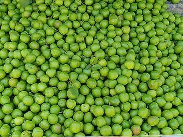 meyvə şəkilləri: Təmiz Göycə şəhər daxili boltla catdırma var super dadlı çiyələylərdə — 1