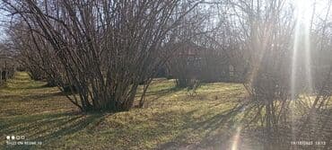 mx group inşaat: 18 sot, Tikinti, Makler, Bələdiyyə — 2