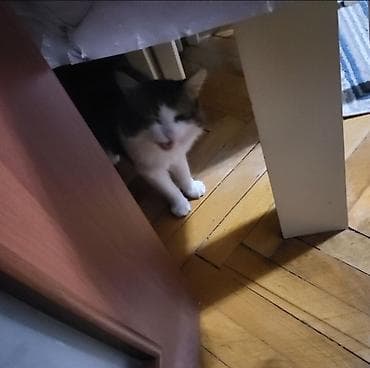 pisiy qabi: YOUTUBER PİŞİK!!! CÜTLƏŞDİRİLİR ERKƏKDİR. YARAŞIQLIMA GÖZƏL QIZ — 4