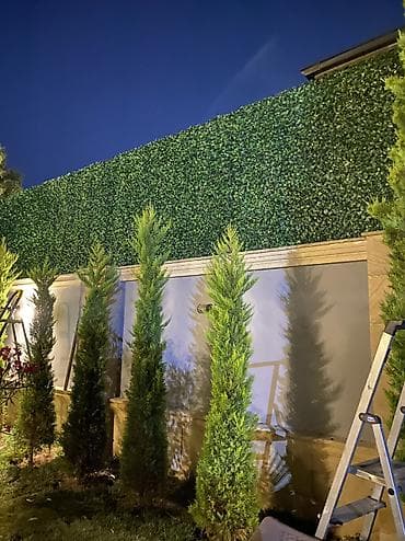 satt: 🌿 Yaşıl Hasarların Topdan və Pərakəndə Satışı Məkanlarınıza estetik — 2