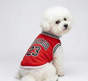 İtlər üçün basketbol forması (Chicago 23) – (5.9 – 9.1 kq) İtlər üçün lalafo.az -da İtlər üçün basketbol forması (Chicago 23) – (5.9 – 9.1 kq) İtlər üçün