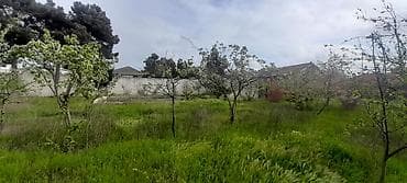 torpa: Tikinti, Kupça (Çıxarış) — 5