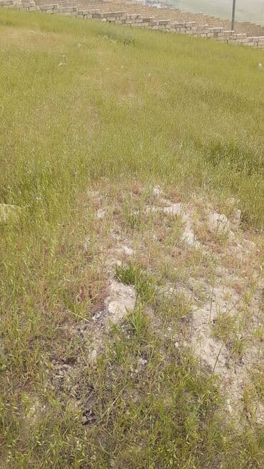 Lexus: 8 sot, Tikinti, Bələdiyyə — 5