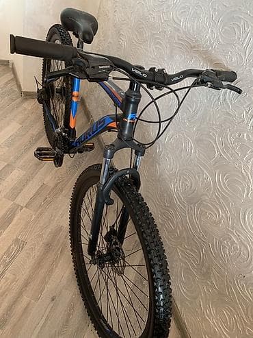 Aurus Falcon dağ velosipedi - Çərçivə: yüngül alaşımlı, idman