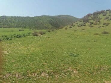 xacmazda satılan evlər: 19 sot, Kənd təsərrüfatı, Mülkiyyətçi, Kupça (Çıxarış) — 7