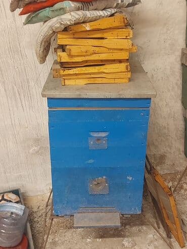 Коровы, быки: Arı yeşikleri
Yaxşı veziyyetdedir
Ehtiyyac olmadığı üçün satılır — 4