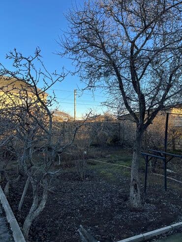 qaracuxurda torpaq satilir: 2 sot, Tikinti, Mülkiyyətçi, Bələdiyyə — 4