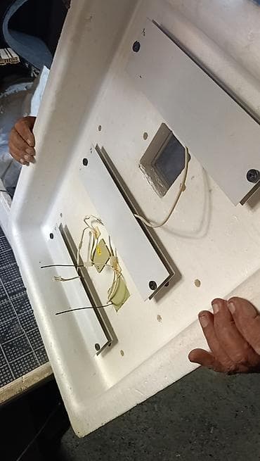 100 yumurta, Rusiya, Bütün növ quşlar üçün — 4