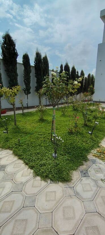 Ümumi Bağ Xidmətləri 1. Bağın planlaşdırılması və dizaynı Landşaft