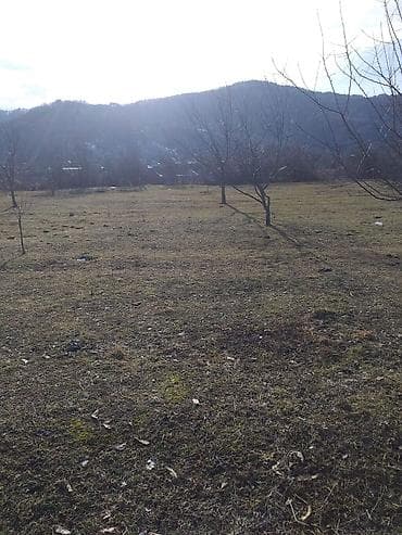 qalada xasaxunada ev torpaq: Tikinti — 7